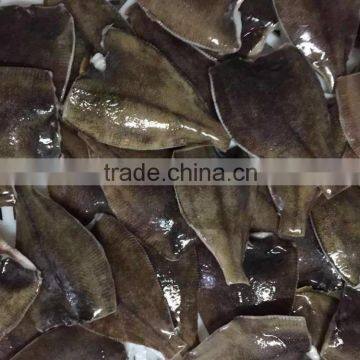 Frozen Whole Round Ray Fish Skate Fish