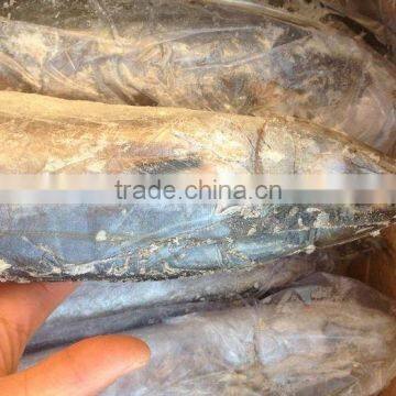Whole Round Good Quality Spanish Mackerel For Consumption