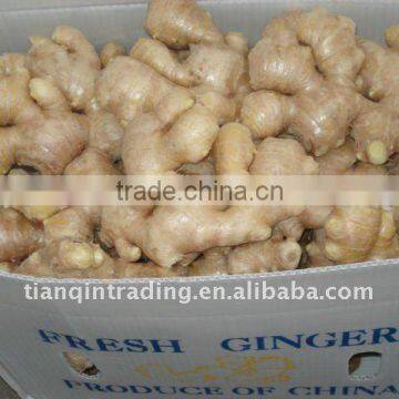 Air-dried ginger