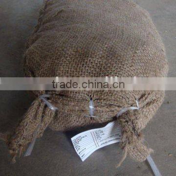 chinese raw fresh chestnut