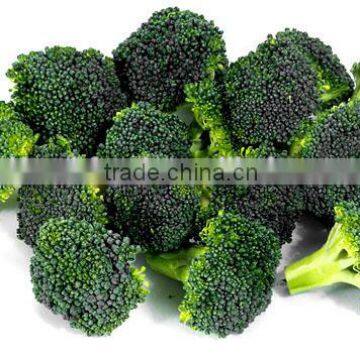 IQF Broccoli Manufacturer