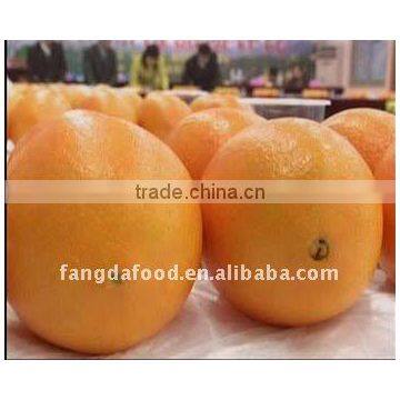 chinese new navel orange/sweet big orange