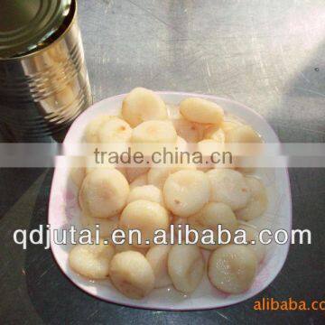 567g Canned Water Chestnut in tin