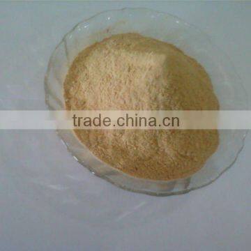 DRY GARLIC POWDER HIGH QUALITY