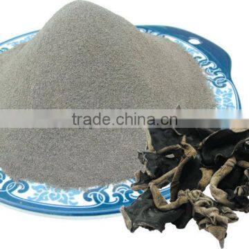 Black fungi mushroom grinded fine powder