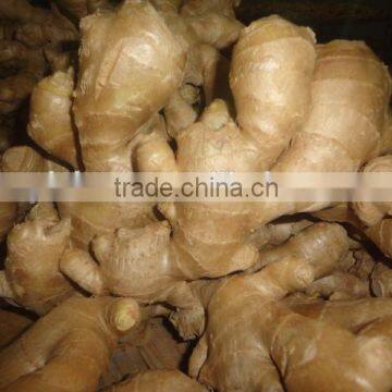 Fresh Air Dried Ginger photo-5