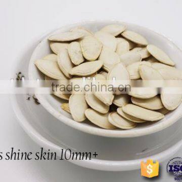 New Crop Shine Skin Pumpkin Seeds With Good Quality