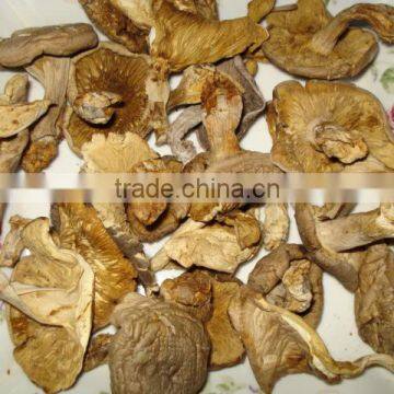 Detan Mushroom Dried Oyster Mushrooms photo-2