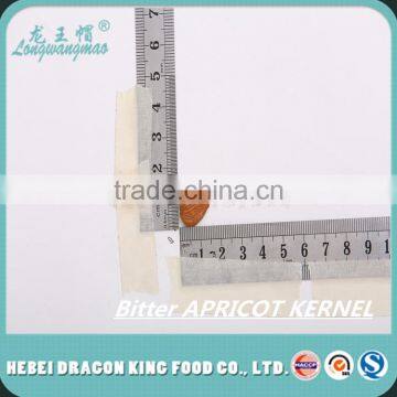 2016 Chinese New Crop Bitter Apricot Kernels Out of Shell is Ready for You photo-2