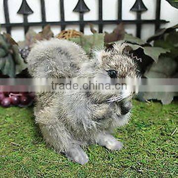 Real Size Realistic Taxidermy Figurine Stuffed Brown Squirrel