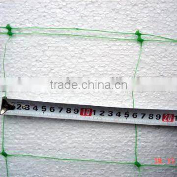 Extruded PP/PEGreen/White Climbing Plant Support net/rose flower net