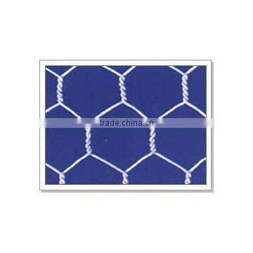 Hexagonal wire mesh