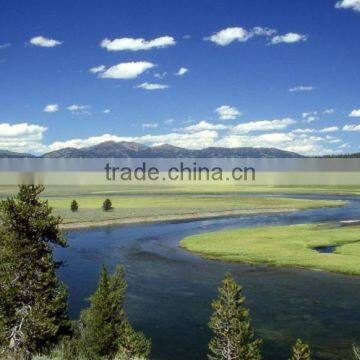 Yellowstone National Park Photo Frame photo-4