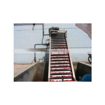 Tomato Concentrate photo-4