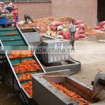 Carrot Washing Peeling Prodcution Line Processing Line photo-2
