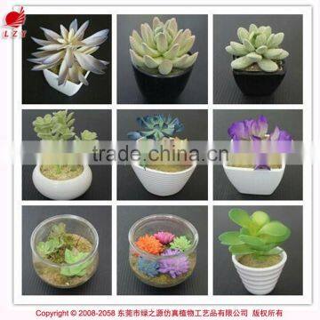 Mini Artificial Succulent Plants Artificial Succulents Tropical Plant Wholesale photo-4