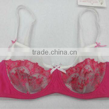Ladies Sex Bra Cut and Sew Elegant Bra With Embroidery