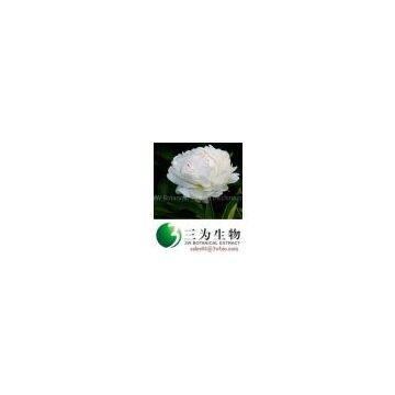 White Peony P.E., 10~90% Albiflorin