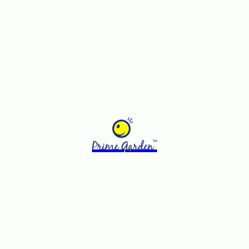 Prime Industries Limited