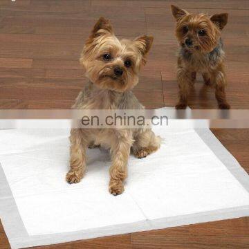 disposable dog training pad