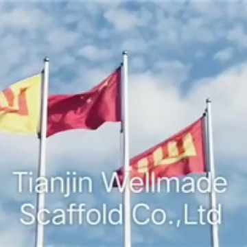 Tianjin Wellmade Scaffold Co., Ltd. company overview - view 1