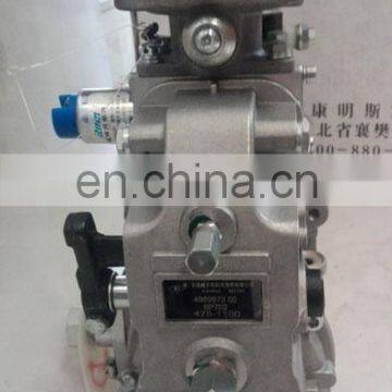 Excavator 6CT8.3 Engine Wuxi WEIFU Fuel Injection Pump BHF6P120005 / 4989873 photo-5