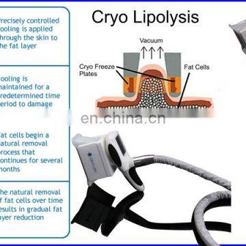 Cryo Lipolysis Fat Freeze Slimming Velashape/Criolipolysis Lipo Laser Machine Price for Sale photo-3