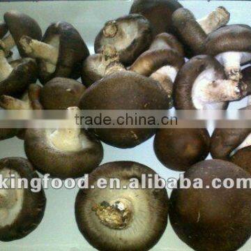 Cultivated frozen whole shiitake