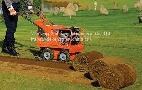 Продаётся мощный дерновой или газонокосильный каток.