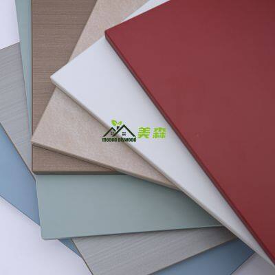 High Quality Cabinet Door Use 18mm Decorative Pet Plywood Board photo-4