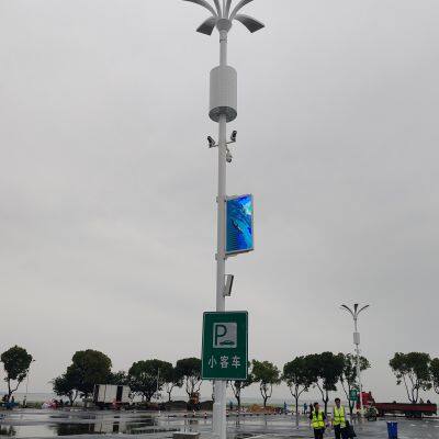 22 Sets of 800x1400mm Single-sided LED Pole Displays at the Baogu Lake Expressway Service Area in Wujin District, Changzhou, Jiangsu Province. photo-2