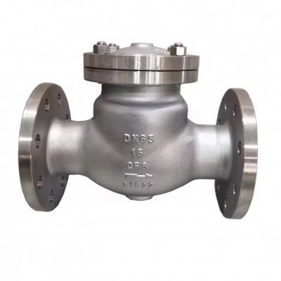 New Product API600 API6d Wcb Check Valve Stainless Steel 150lb 300lb Check Valves Full Port Check Valves for Oil Gas photo-2