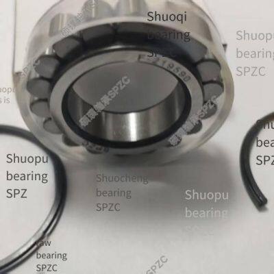 Luoyang Shuopu Bearing F-219593 Cylindrical Roller Bearing Without Outer Ring, Planetary Gear Bearing