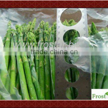 Frozen IQF Asparagus