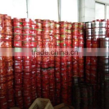 Normal Open Canned Tomato Paste photo-4