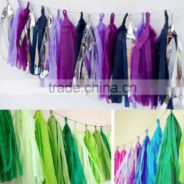 Various Color Hanging Party Decor Tissue Paper Tassel Garland