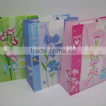 Paper Gift Bag