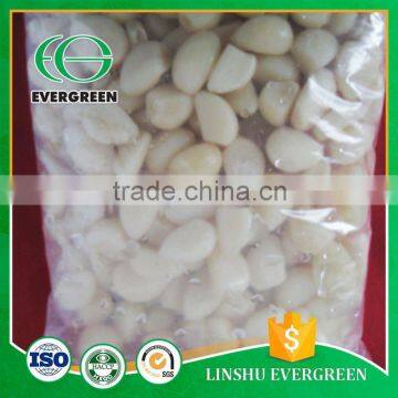 Brand New Finely Processed Pickled Garlic Clove In Brine Device