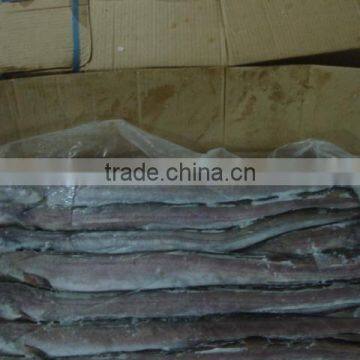 FROZEN CONGER EEL FISH