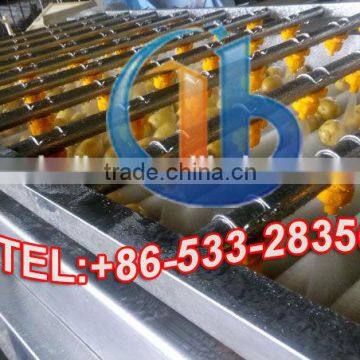 High Performance Automatic Industrial Fruit Washing Machine photo-5