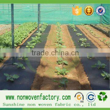 Heavy Black Nonwoven Weed Control Sheet, Weed Barrier, Weed Control Membrane photo-4