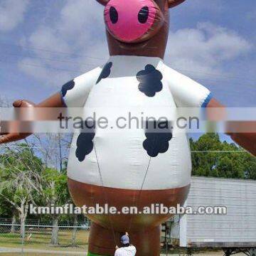 huge inflatable Cow balloon stand Wearing sunglasses