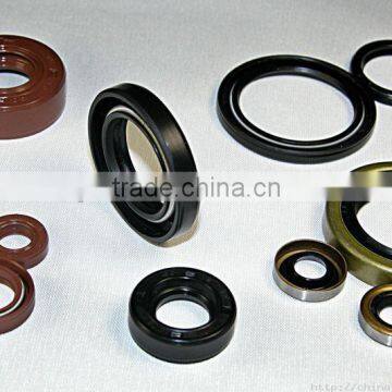 Double Lip Rotary Shaft Metric TC Oil Seal/ Oil seal