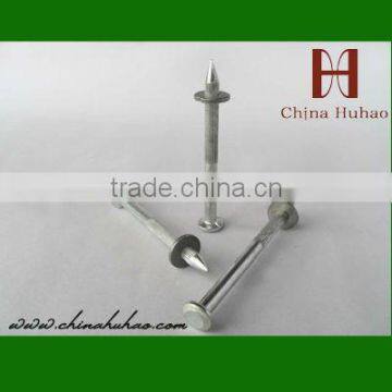 steel nails common nails iron nails Steel #55 White Galvanized Vertical Grooved Shank Shooting Nails long