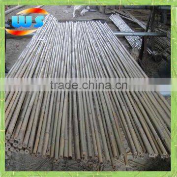 Bambu pole for plants 244cm X 20-22mm