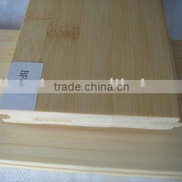 bamboo indoor flooring which is solid and very elegant