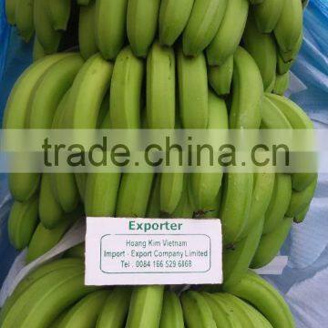 Hoang Kim Vietnam 's Fresh Banana Hot For Sales