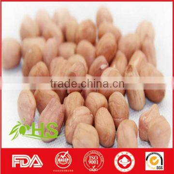 2016 New Crop Fresh Blanched Peanut Kernels photo-4