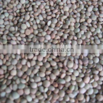 green lentils