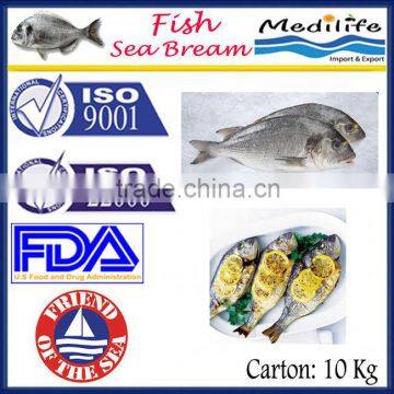 High Quality Fish Sea Bream,Fresh sea bream, Tunisian Fish, 10 Kg